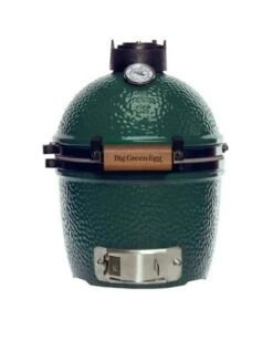 Big Green Egg Mini Solo