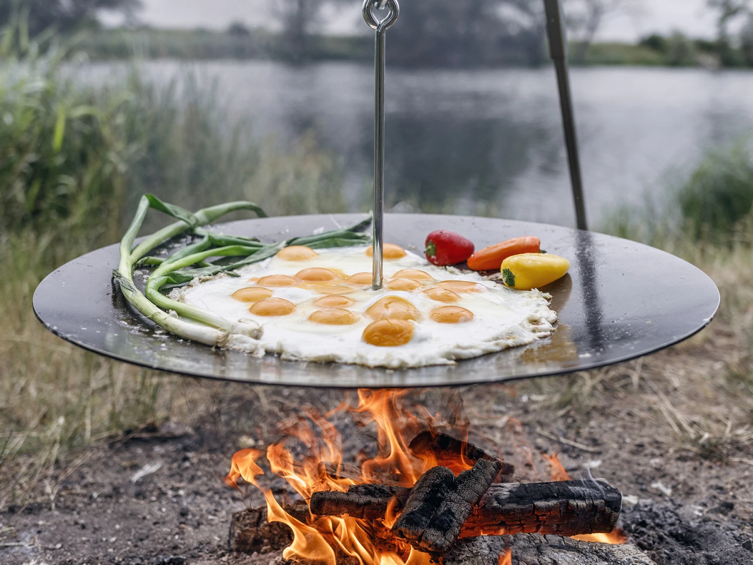 Petromax Hangende Grillplaat 56cm 4 Petromax Hangende Grillplaat 56cm - Afbeelding 2